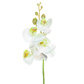 SF Orchid Phalaenopsis XJ Sm Wh/Pk 57cm