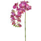 SF Orchid Phalaenopsis XJ Min Dk/Pk 60cm