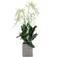 PP Brassia Orchid in Sq Snow Pot 114cm
