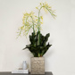 PP Brassia Orchid in Sq Snow Pot 114cm