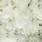 Topiary Mat White Petal W 60x40cm