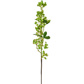 Foliage Snowberry Real Touch Grn GB 61cm