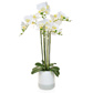 PP Phalaenopsis Real Touch W/Pot 70cm