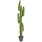PP Cactus with Brown Pot YF 157.5cm