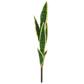 Plants Sanservera Single Stem 87.5cm