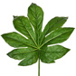 FS Leaf Hemp Green GB 85cm