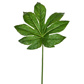FS Leaf Hemp Green GB 85cm