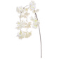 SF Cherry Blossom White XE 122cm