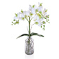 PP Phal Orchid Wh in Glass Vase JA 90cm