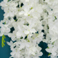 I & T Hydrangea Blossom White 68cm