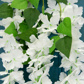 I & T Hydrangea Blossom Trail White 144cm