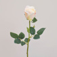 SF Rose White/Pk/Yellow XH 66cm