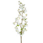 SF Cherry Blossom White JA 157cm