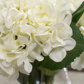 PP Hydrangea White in Vase HY 84cm