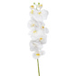 SF Orchid Phal White Real Touch GB 115cm