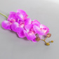 SF Orchid Phal Pink Real Touch GB 70cm