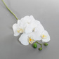 SF Orchid Phal White Real Touch GB 60cm