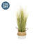 PP Reed Grass in Straw Pot JM 83cm
