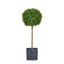AN-Topiary Buxus Ball Tree in Textured Slate Pot 140cm