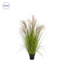 Grass Pampas YF 97cm