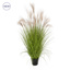 Grass Pampas YF 140cm