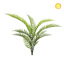 Plants Woodwardia Fern 82cm UV S13