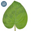 FS Leaf Evergreen Matt NG Lgt Grn 72cm