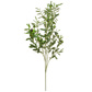 Foliage Olive With Fruit 109cm FR-S1