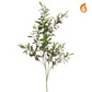 Foliage Olive No Fruit 109cm FR