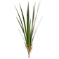 Grass Reed Grass K 90cm