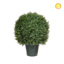 Topiary Cedar Ball SF Plastic 60cm UV