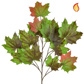 Foliage Maple North American R/G 71cm FR-S1