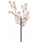 FS Flw XJ Blossom Pink LGE 250cm
